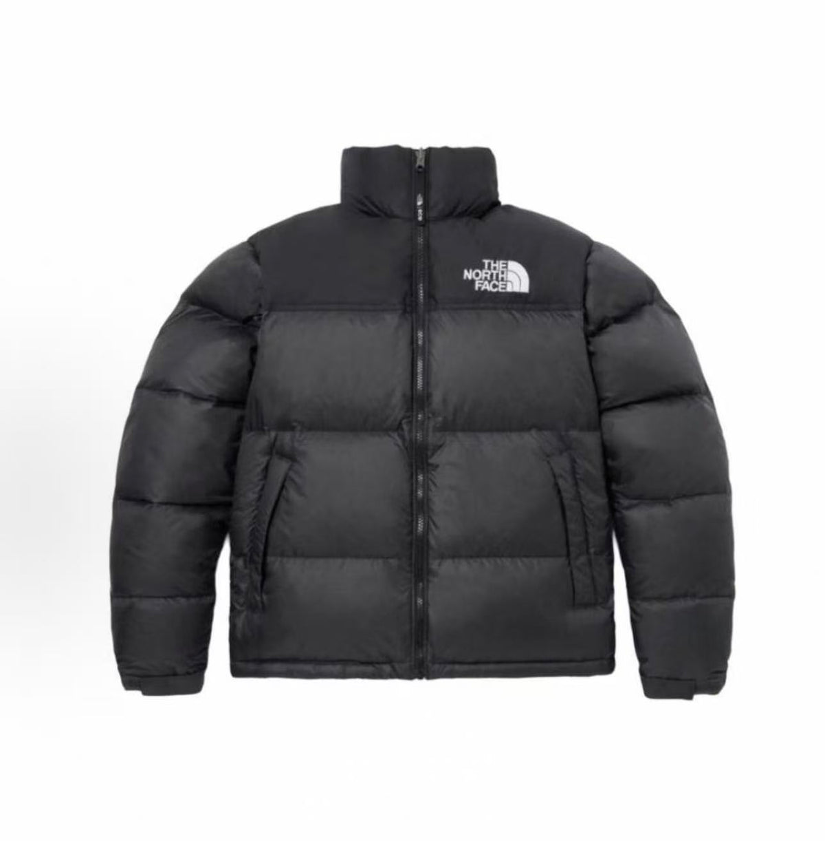 The North Face 1996 Men's Black Down Jacket