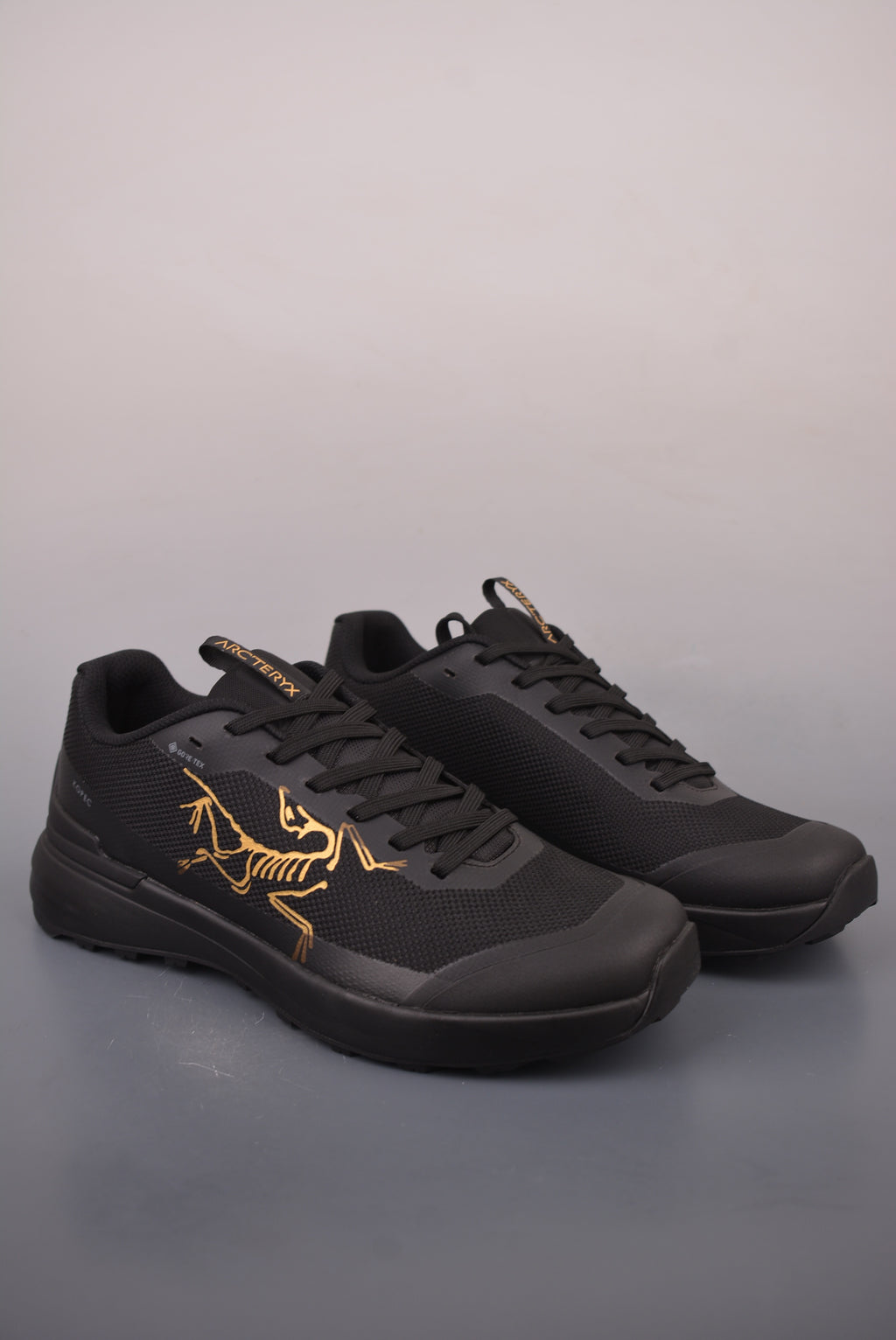 Arc’teryx Low-Top Lace-Up Shoes in Black with Gold Logo
