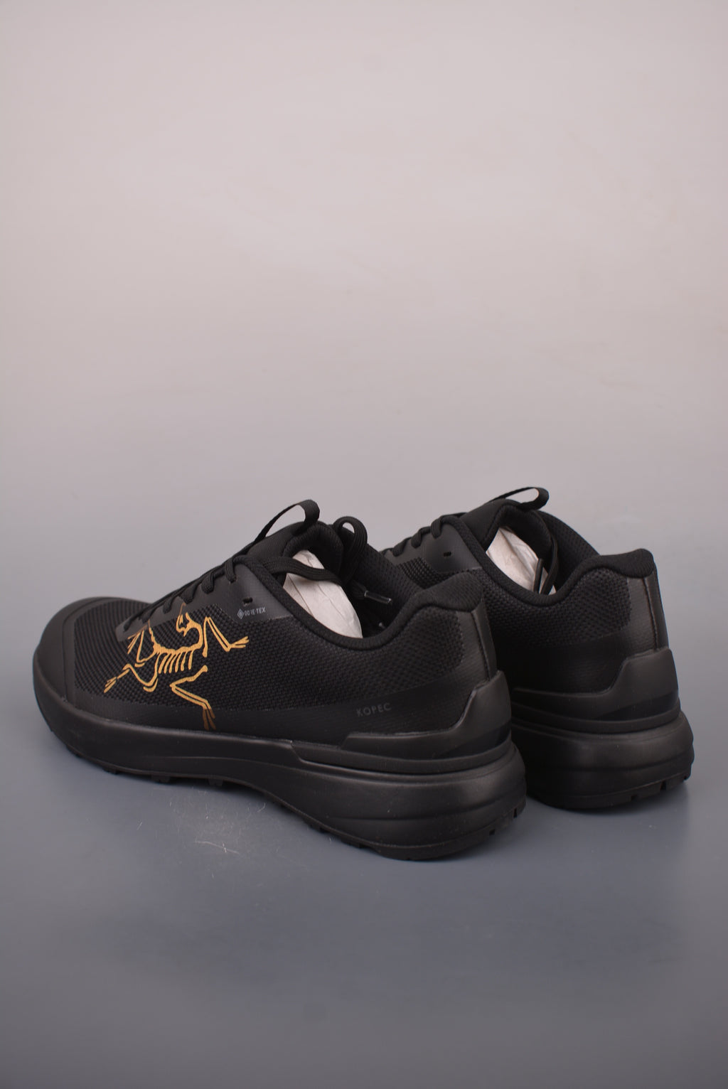 Arc’teryx Low-Top Lace-Up Shoes in Black with Gold Logo