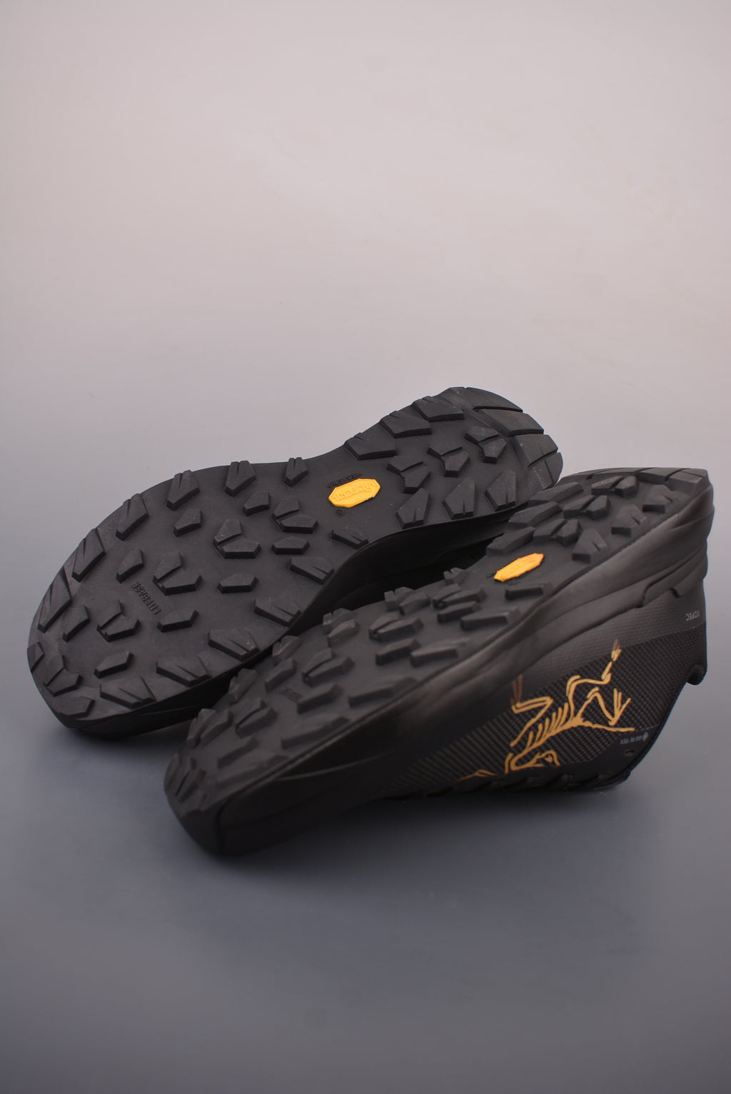 Arc’teryx Low-Top Lace-Up Shoes in Black with Gold Logo
