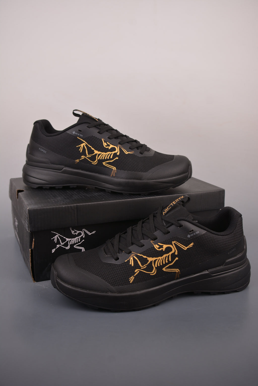 Arc’teryx Low-Top Lace-Up Shoes in Black with Gold Logo