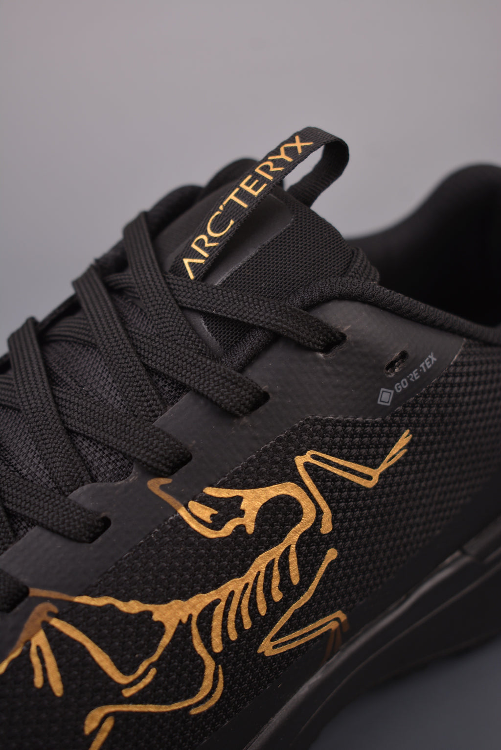 Arc’teryx Low-Top Lace-Up Shoes in Black with Gold Logo